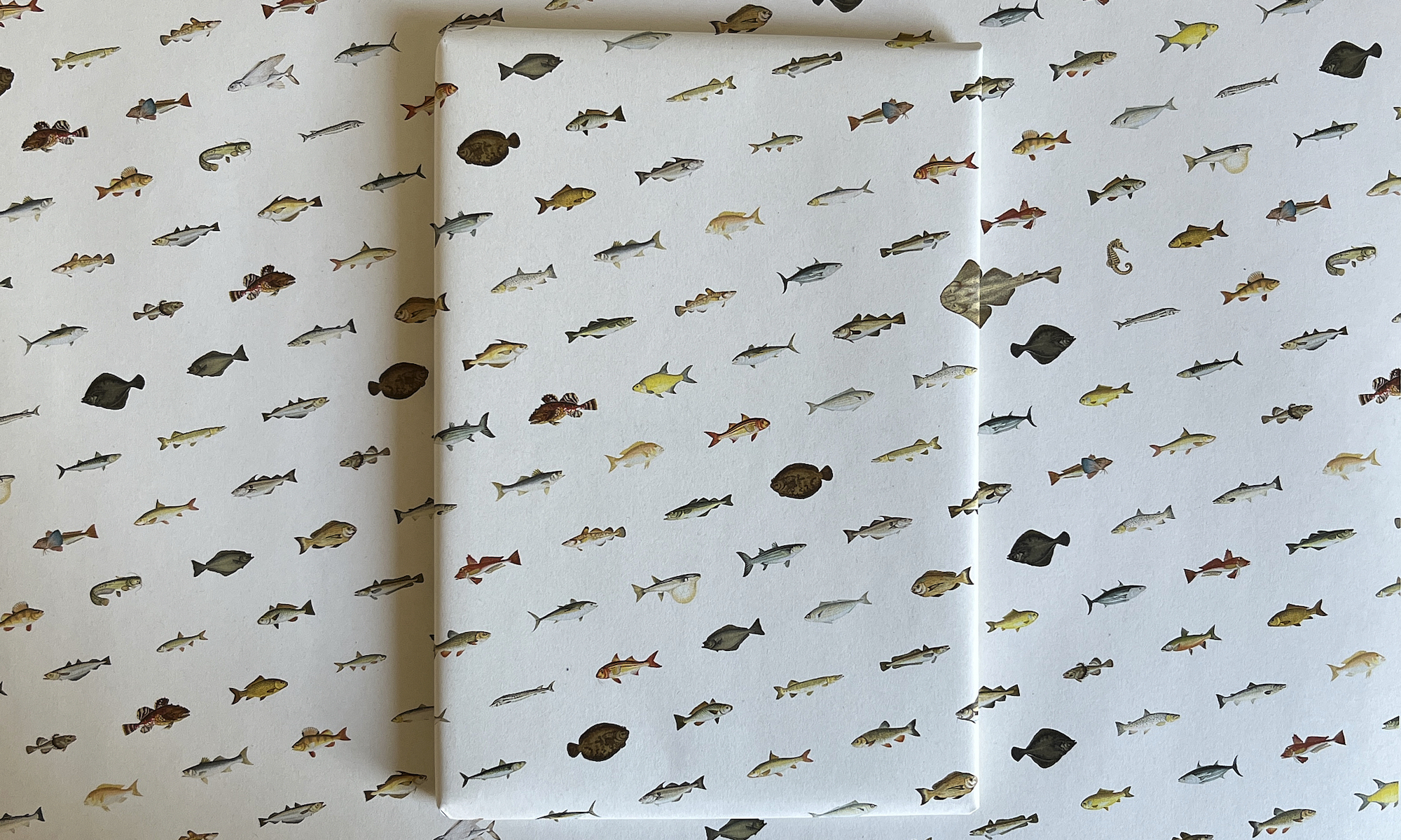 A book wrapped in a custom made paper, on top of a spread of the paper itself, which features 50 kind of fish around the British isles.