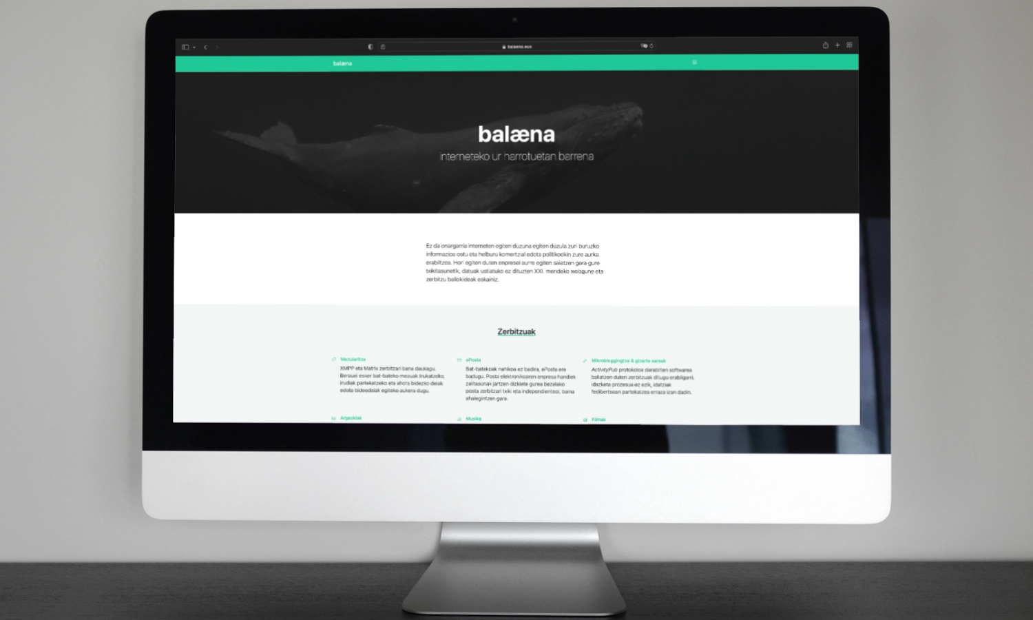 Screenshot of balaena.eus website