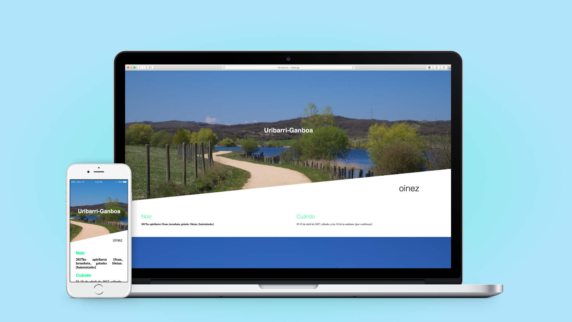 Responsive website design